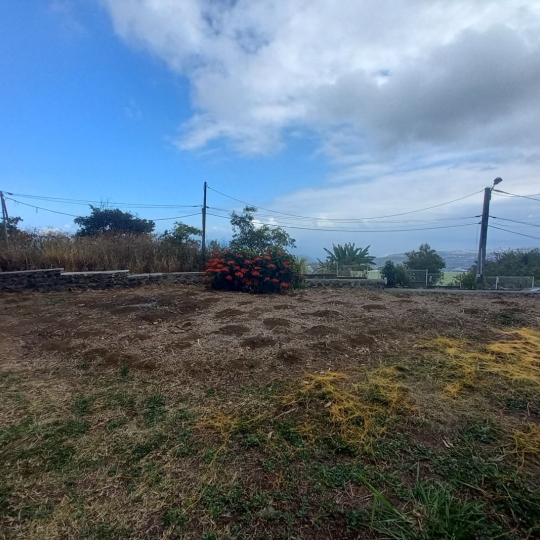  INDIANA IMMOBILIER : Terrain | BOIS-DE-NEFLES (97411) | 60 m2 | 209 000 € 