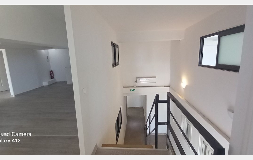 INDIANA IMMOBILIER : Local / Bureau | LA POSSESSION (97419) | 350 m2 | 3 500 € 