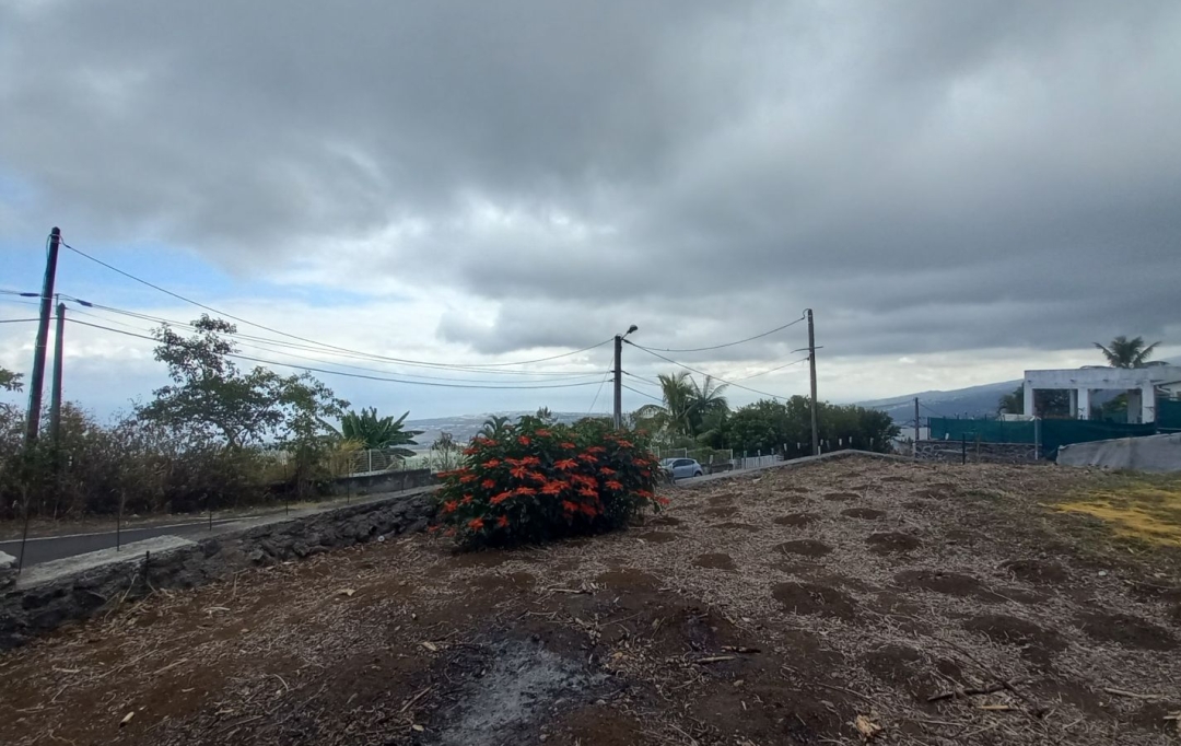 INDIANA IMMOBILIER : Terrain | BOIS-DE-NEFLES (97411) | 60 m2 | 209 000 € 