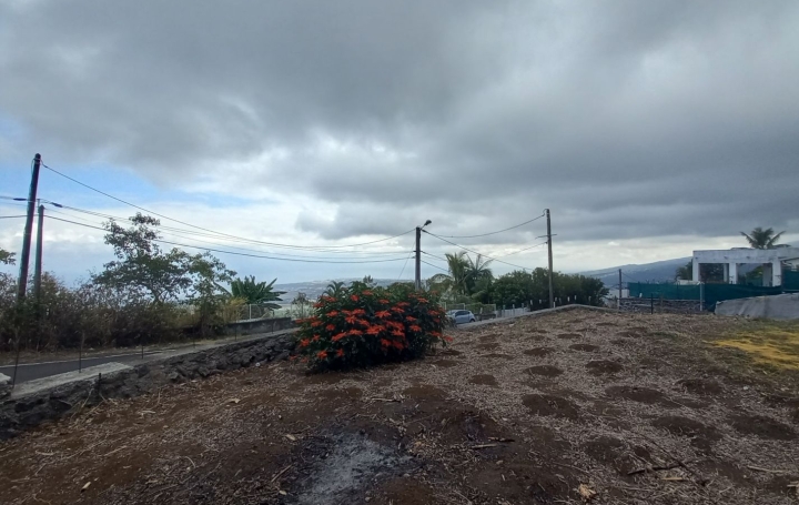  INDIANA IMMOBILIER Terrain | BOIS-DE-NEFLES (97411) | 60 m2 | 209 000 € 